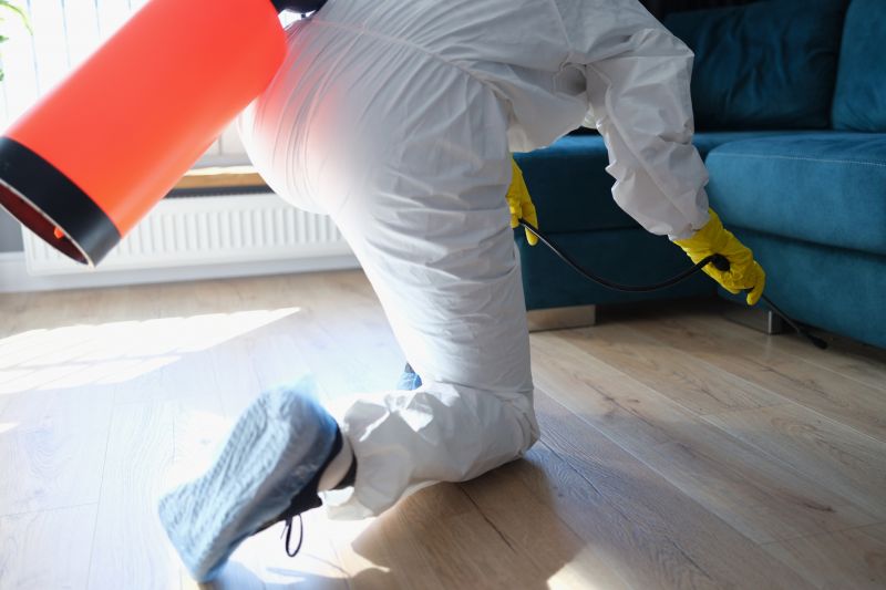 Rat Fumigation Service in Coeur D Alene, ID