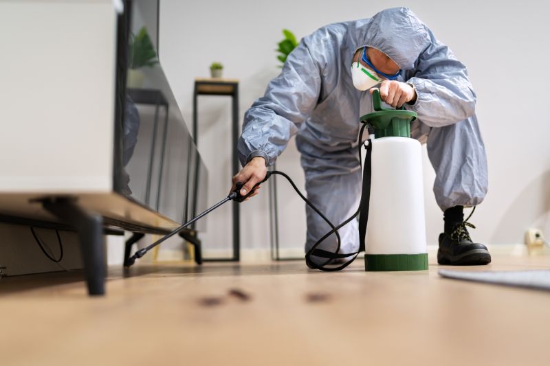 Spider Fumigation Service in Gwinnett County, GA