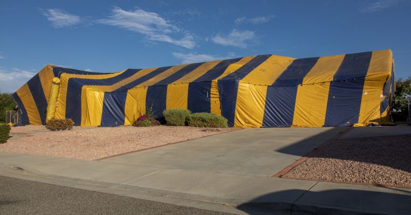 Termite Tenting in Asheville, NC