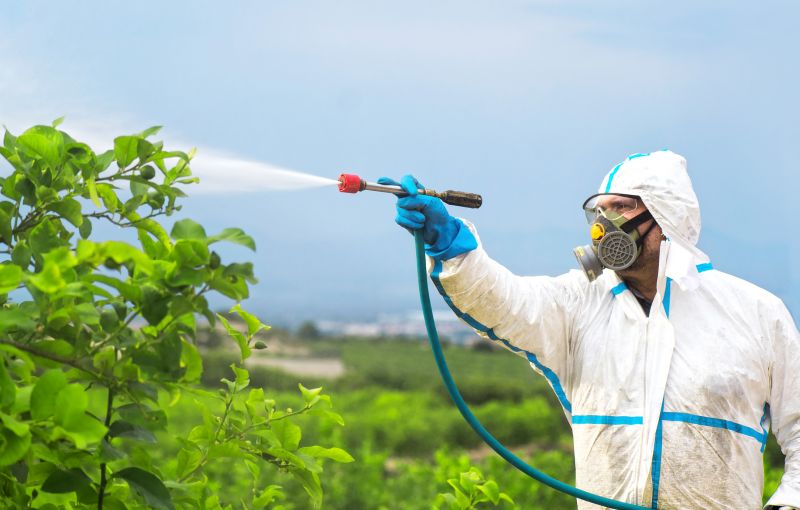 Pest Fumigation Service in Bellingham, WA